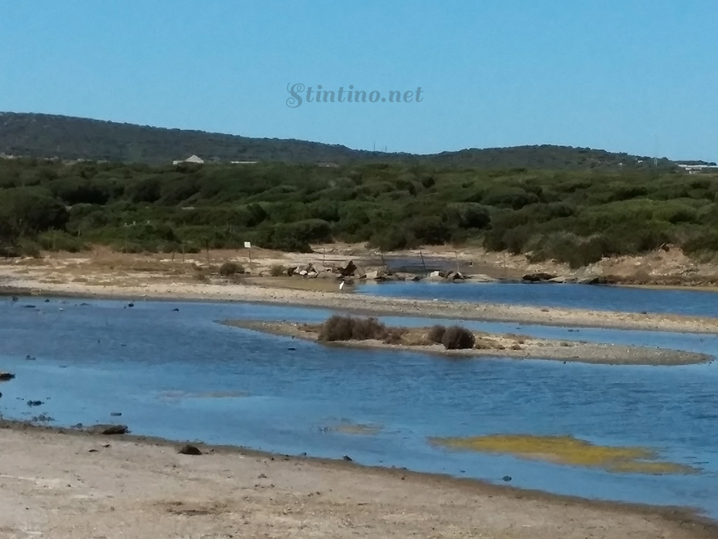 Stagno di Casaraccio